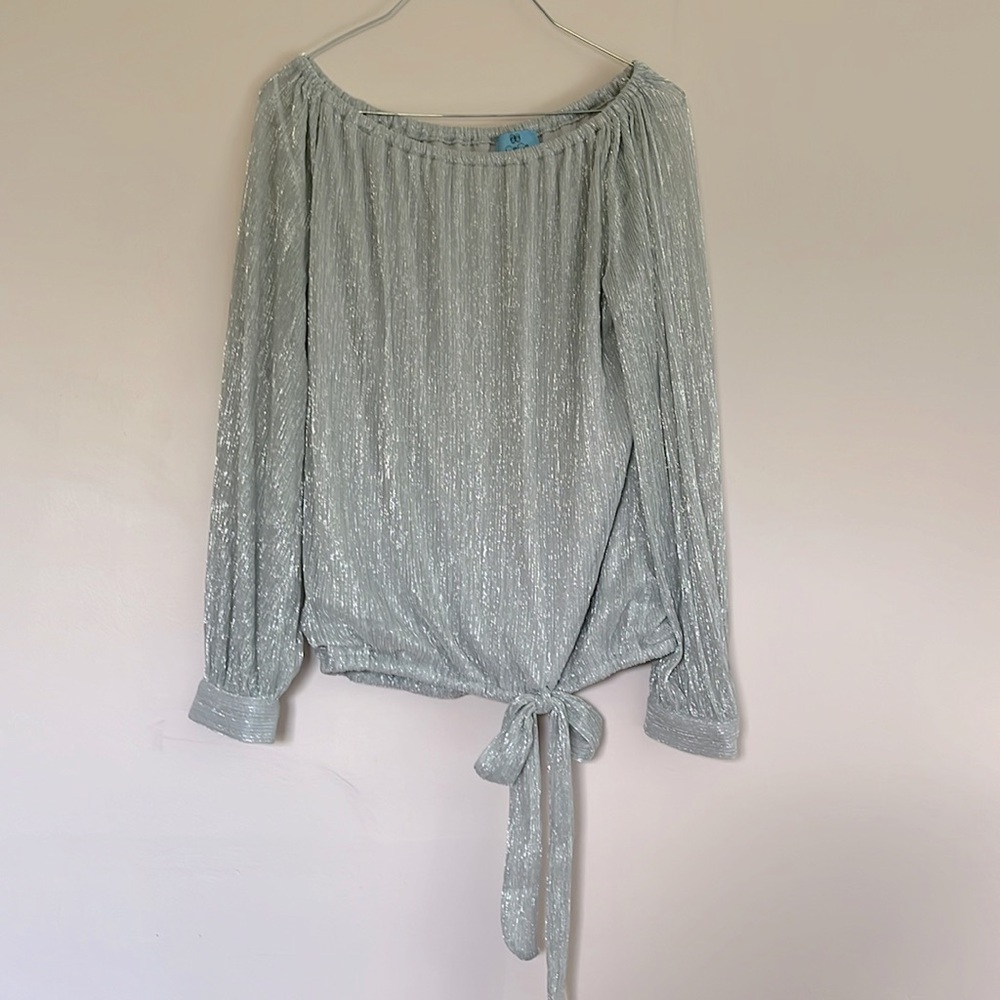 Dressy women’s blouse. Sparkly silver! Great for the holidays or a night out.